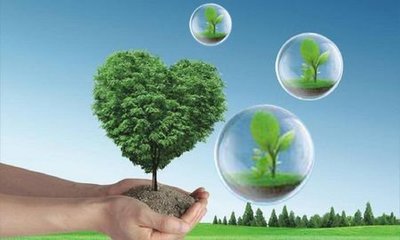 揭秘“會(huì)呼吸”負(fù)離子學(xué)習(xí)桌熱銷背后 生態(tài)環(huán)境材料銷售新風(fēng)向