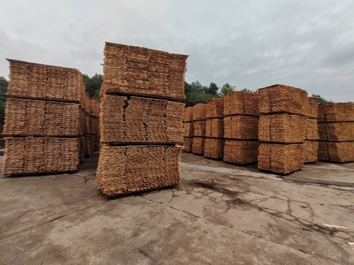 環(huán)保新高度 凱瑞象板材18mm大豆膠生態(tài)環(huán)保板材問世，引領(lǐng)綠色建材革新