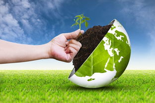 環(huán)境工程、環(huán)境生態(tài)工程與生態(tài)環(huán)境材料銷售 區(qū)別與關(guān)聯(lián)