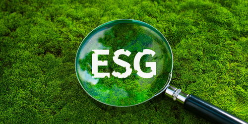 上半年我國生態環境質量持續改善，環保材料市場迎來發展新機遇