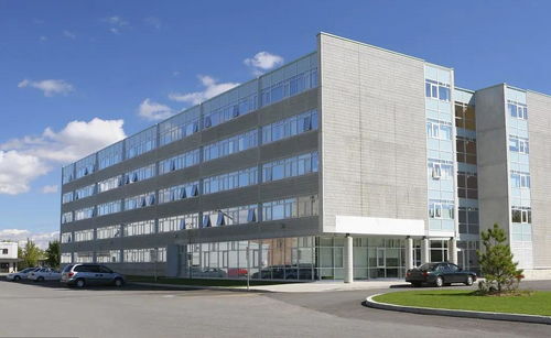 掛靠施工中，滿足特定條件即可直接向發包人主張工程款